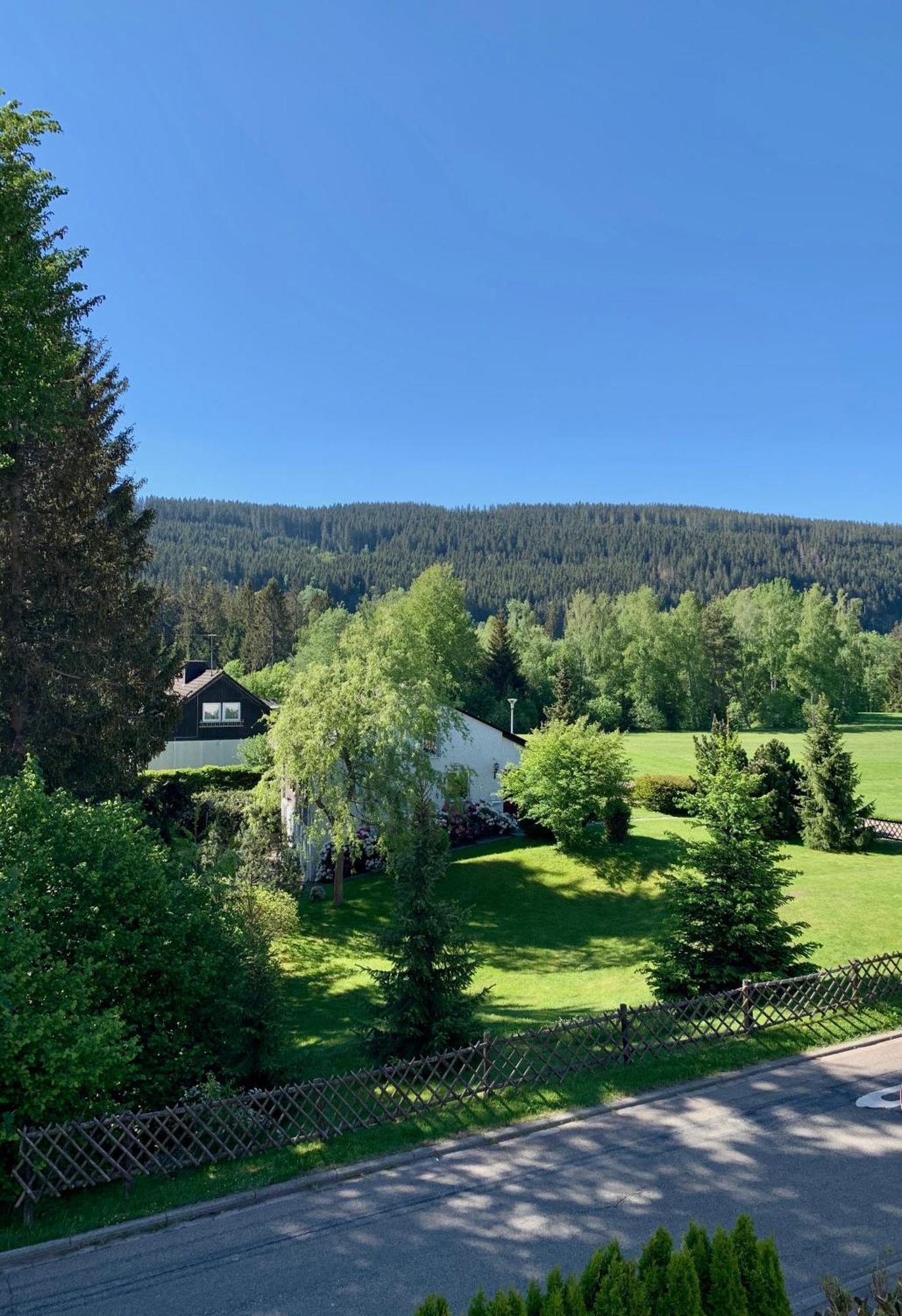Ferienwohnung Homburger - Titisee Esterno foto