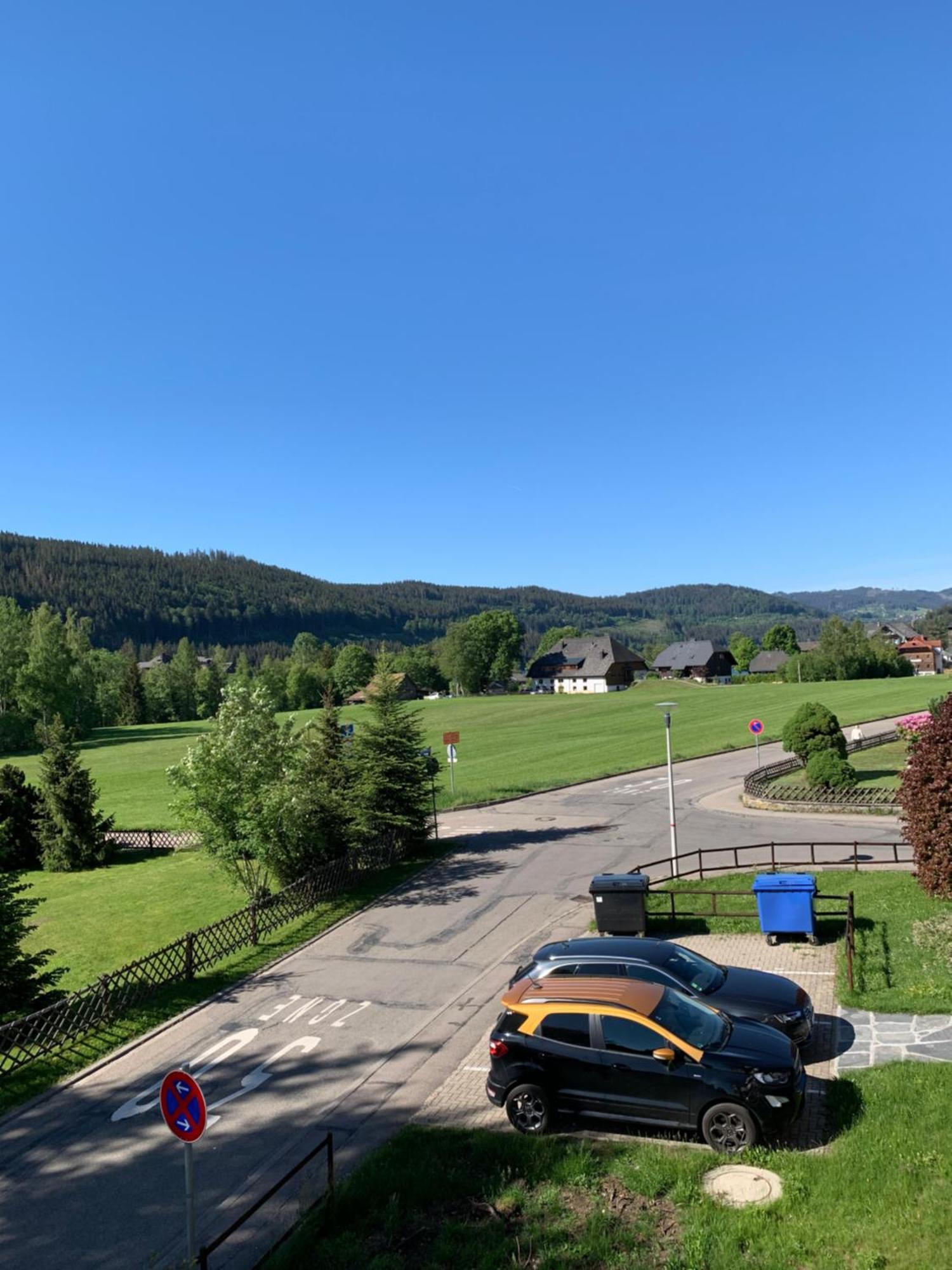 Ferienwohnung Homburger - Titisee Esterno foto