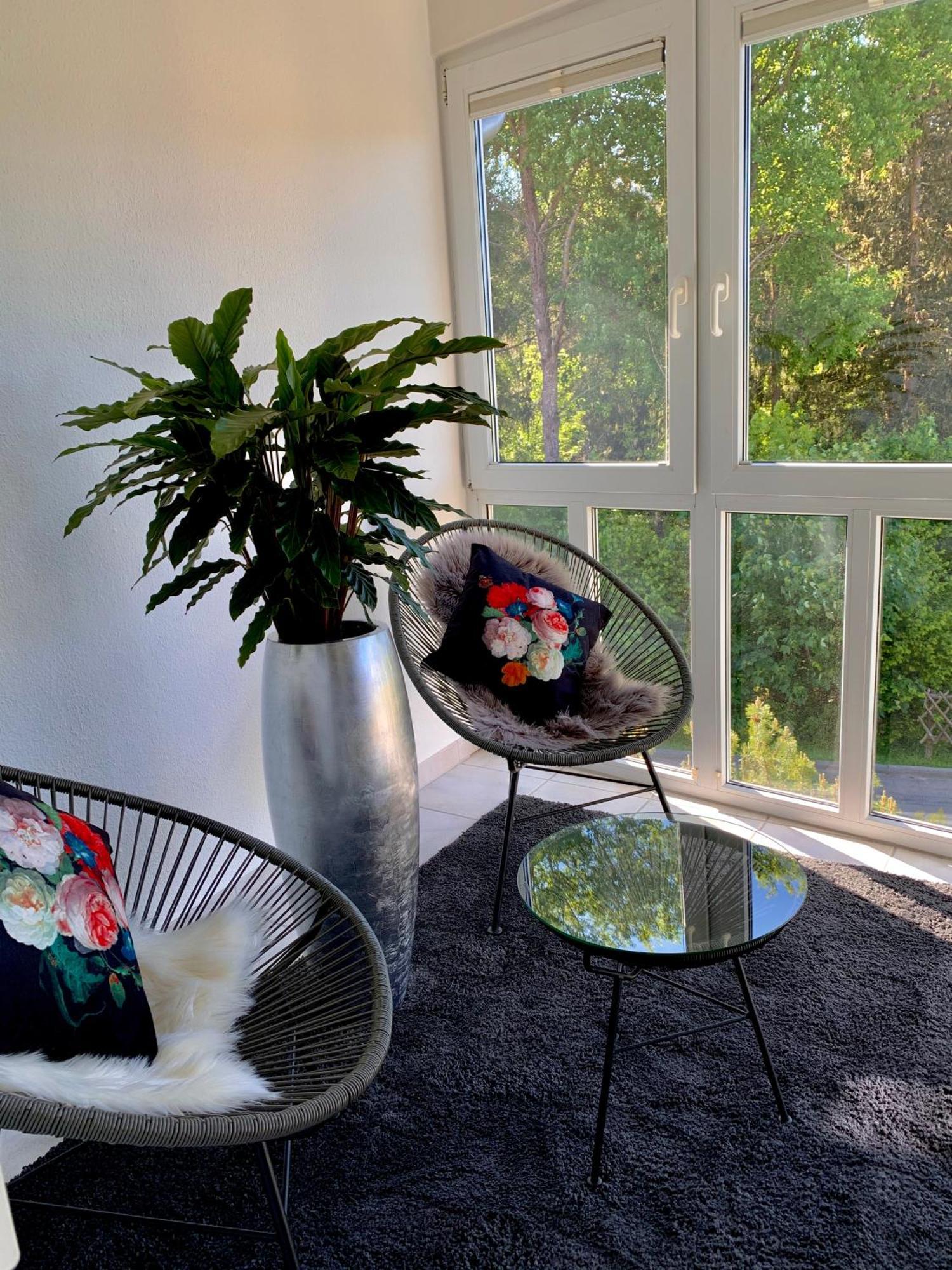 Ferienwohnung Homburger - Titisee Esterno foto